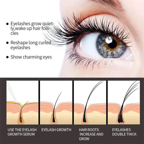 Fast Eyelash Growth Serum 7 Days Natural Eyelash Enhancer Longer Fuller Thicker Lashes Treatment Products Eye Care Makeup - Image 4